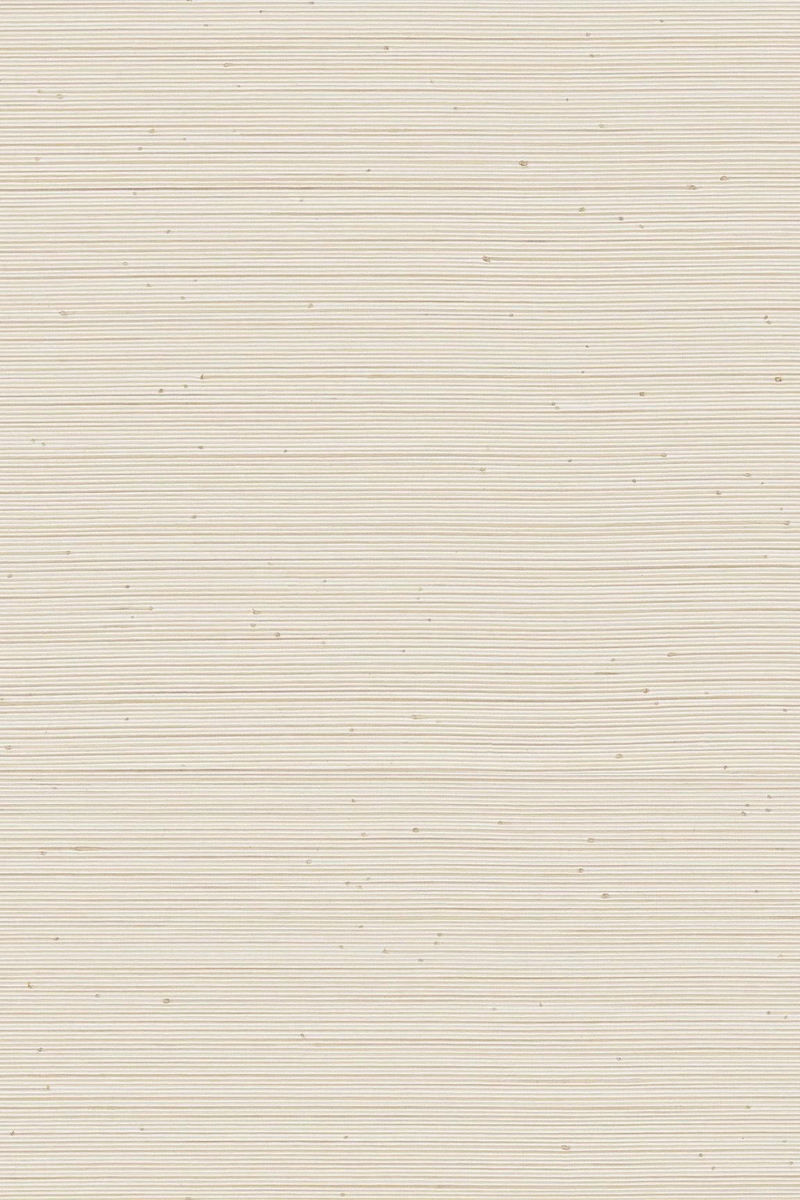 ARTE Pure Interactive PU411