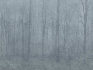 Sandberg Skog Behang S10106 - Misty Blue