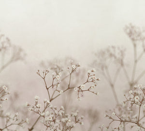 Sandberg Julia Behang S10130 - Blush