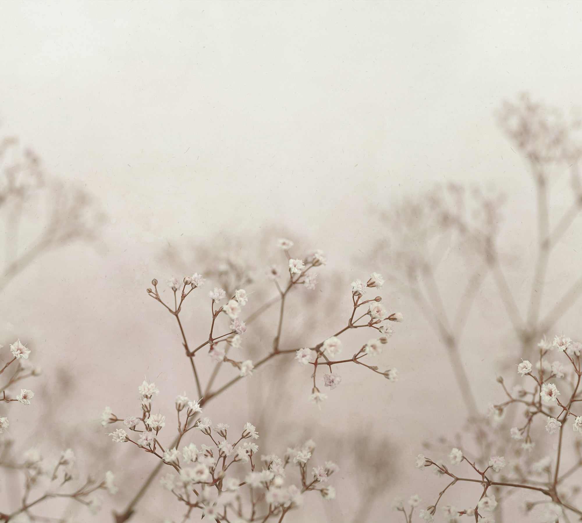 Sandberg Julia Behang S10130 - Blush