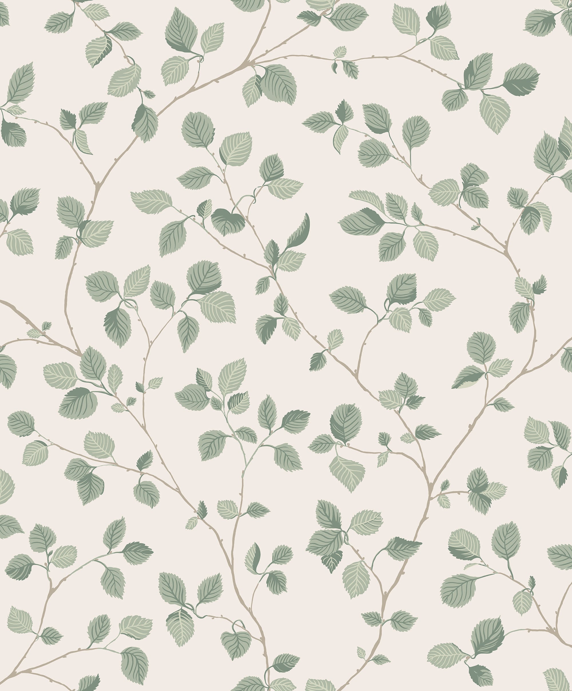 Sandberg Bokskog Behang S10322 - Garden Green