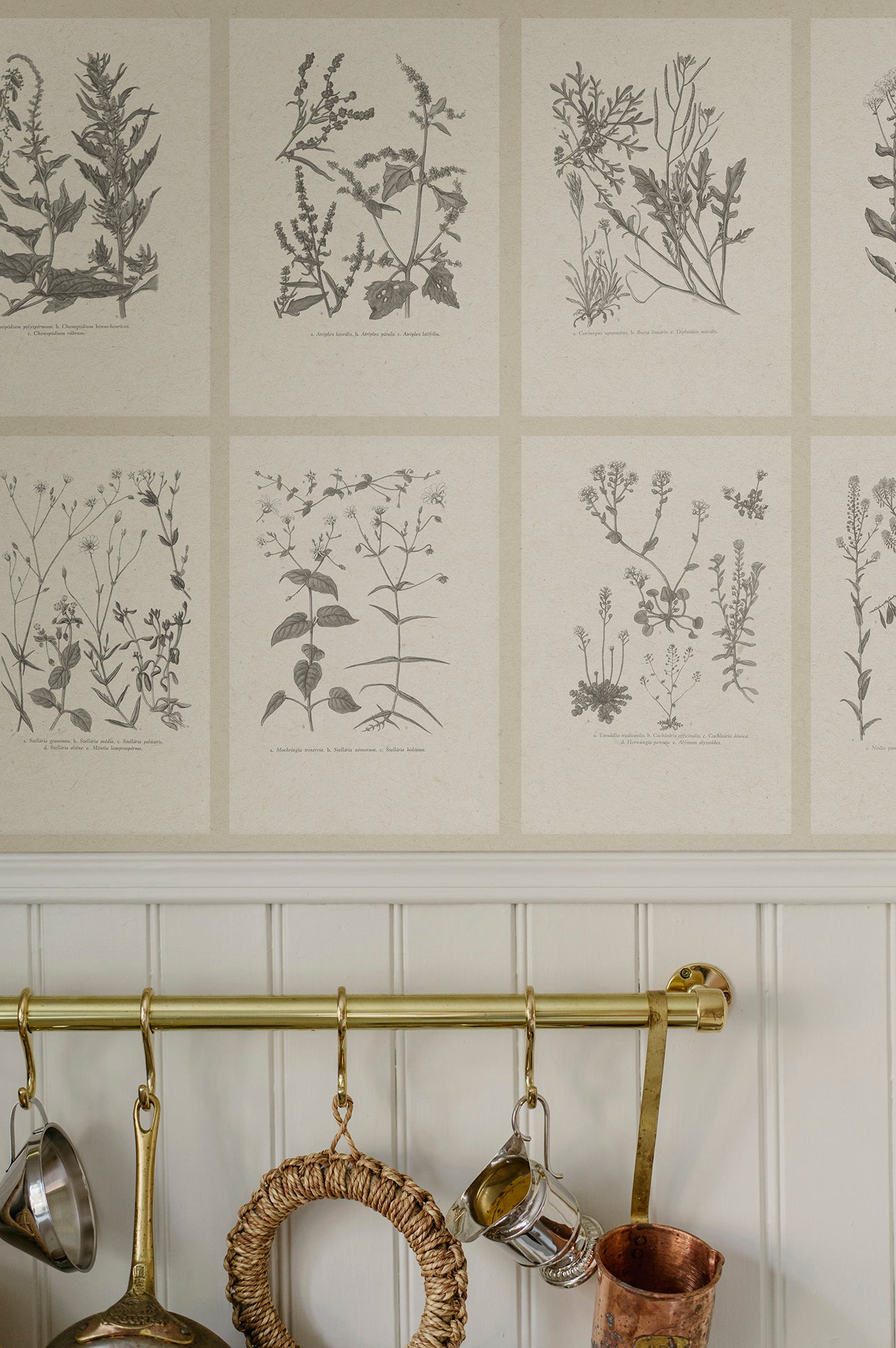 Sandberg Botanica Behang S10509 - Graphite