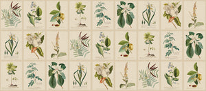 Sandberg Flora Behang S10598 - Green