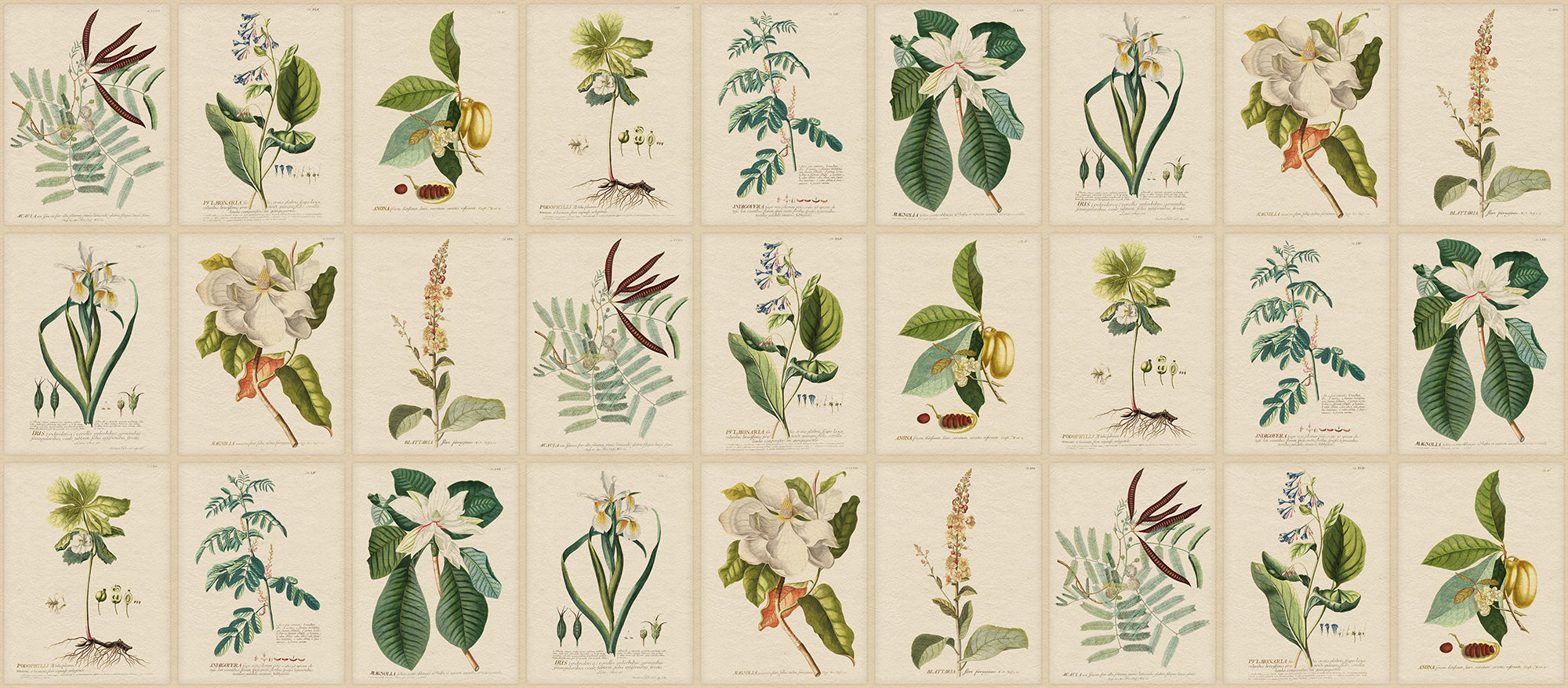 Sandberg Flora Behang S10598 - Green