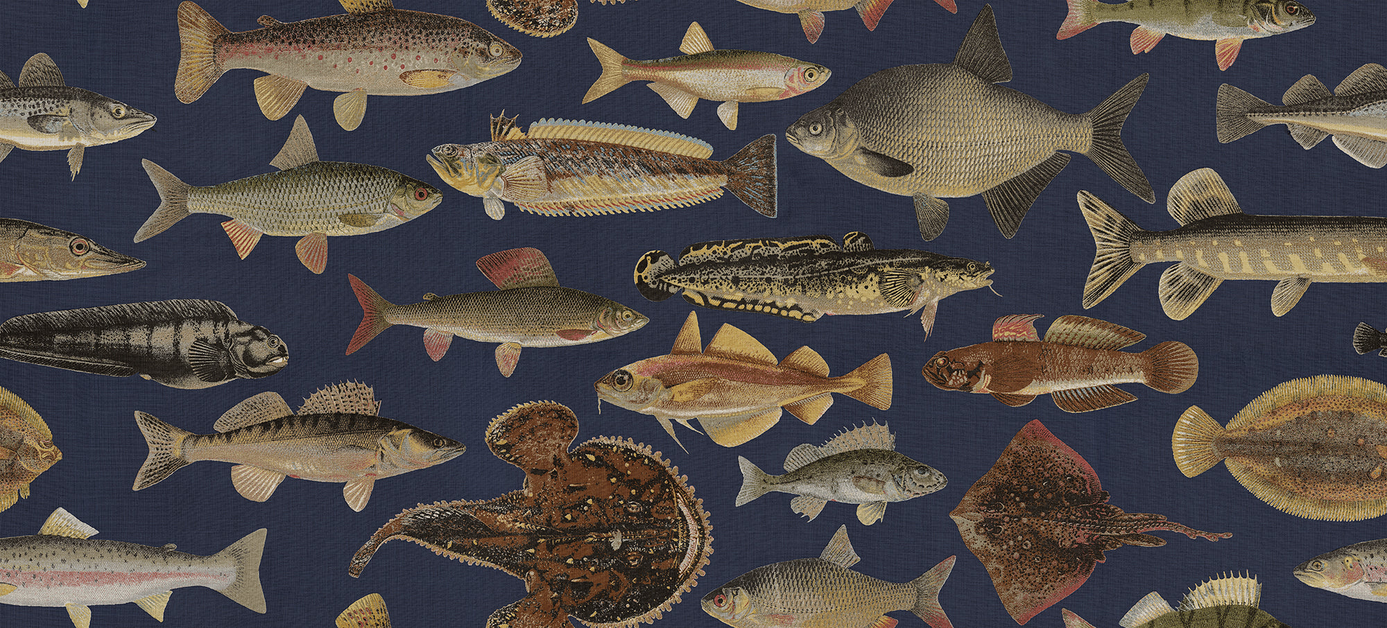 Sandberg Scandinavian Fish Behang S10729 - Dark Blue
