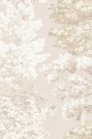 HookedOnWalls Scalamandre Central Park JV26037