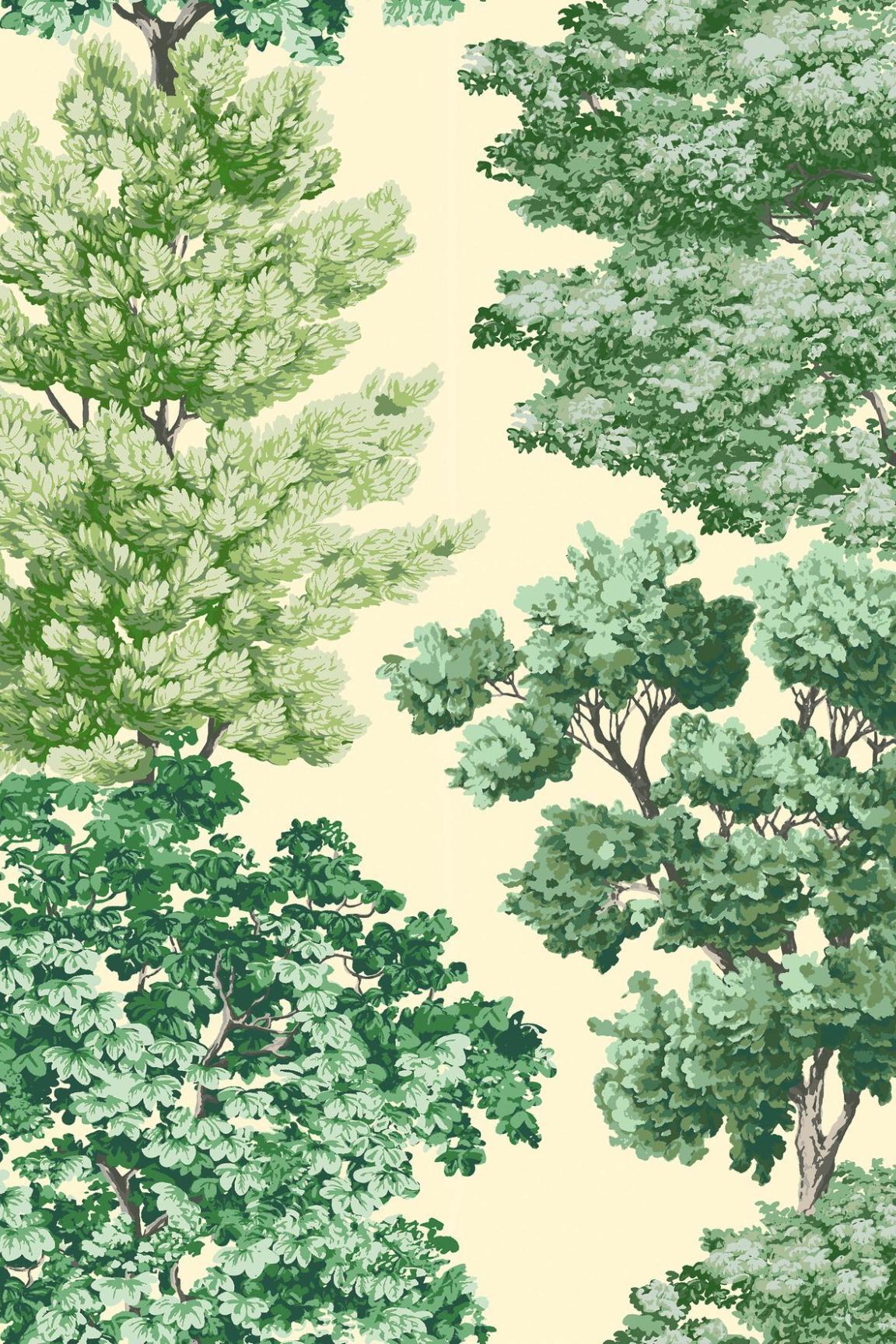 HookedOnWalls Scalamandre Central Park JV26040