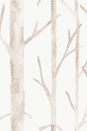 HookedOnWalls Scalamandre Everett JV26046