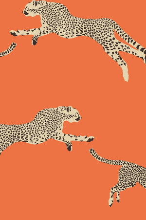 HookedOnWalls Scalamandre Leaping Cheetah JV26017