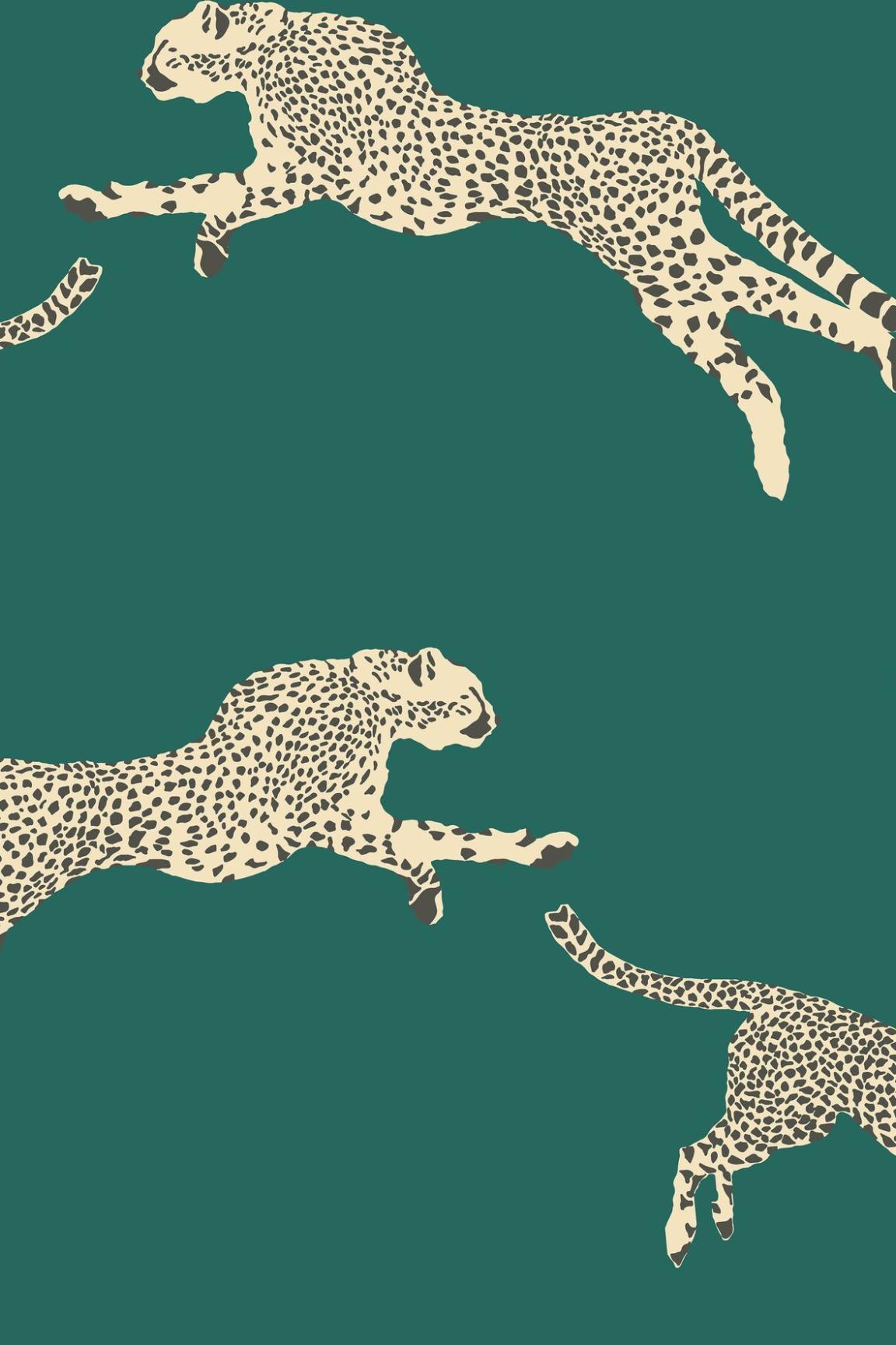 HookedOnWalls Scalamandre Leaping Cheetah JV26018