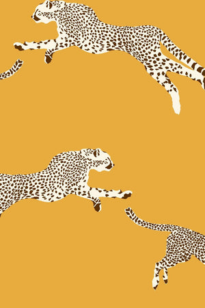 HookedOnWalls Scalamandre Leaping Cheetah JV26020
