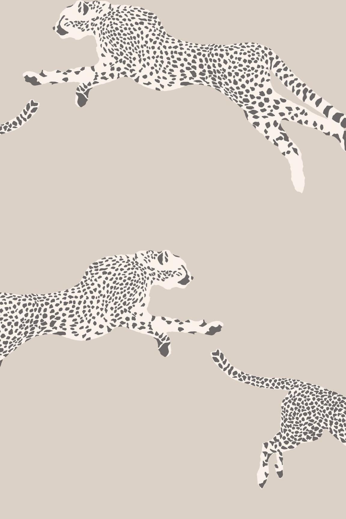 HookedOnWalls Scalamandre Leaping Cheetah JV26022