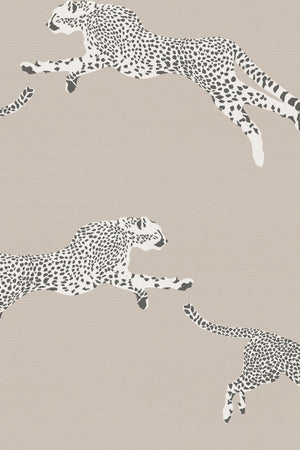 HookedOnWalls Scalamandre Leaping Cheetah JV26023