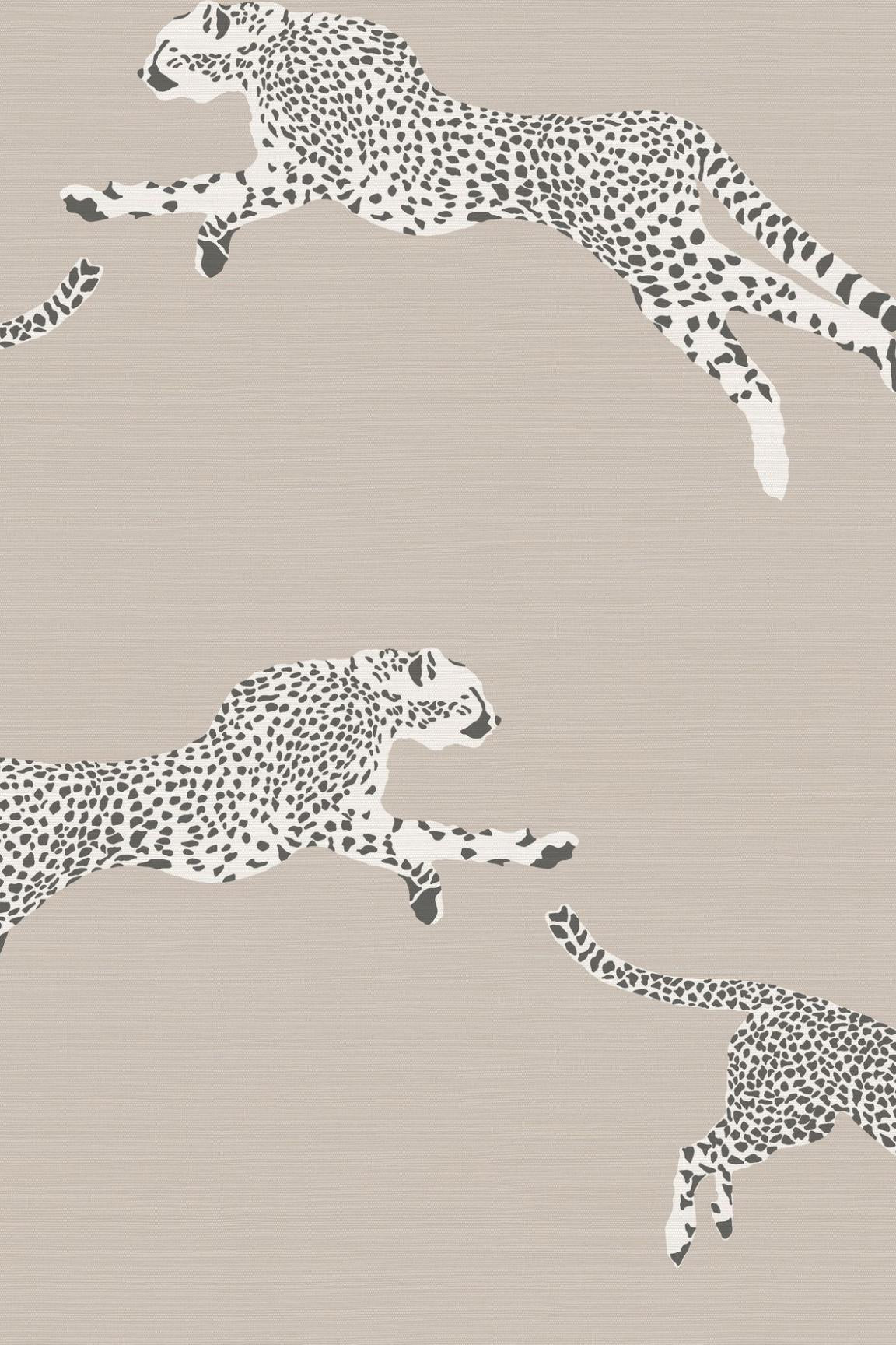 HookedOnWalls Scalamandre Leaping Cheetah JV26023