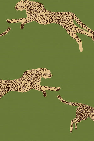 HookedOnWalls Scalamandre Leaping Cheetah JV26024