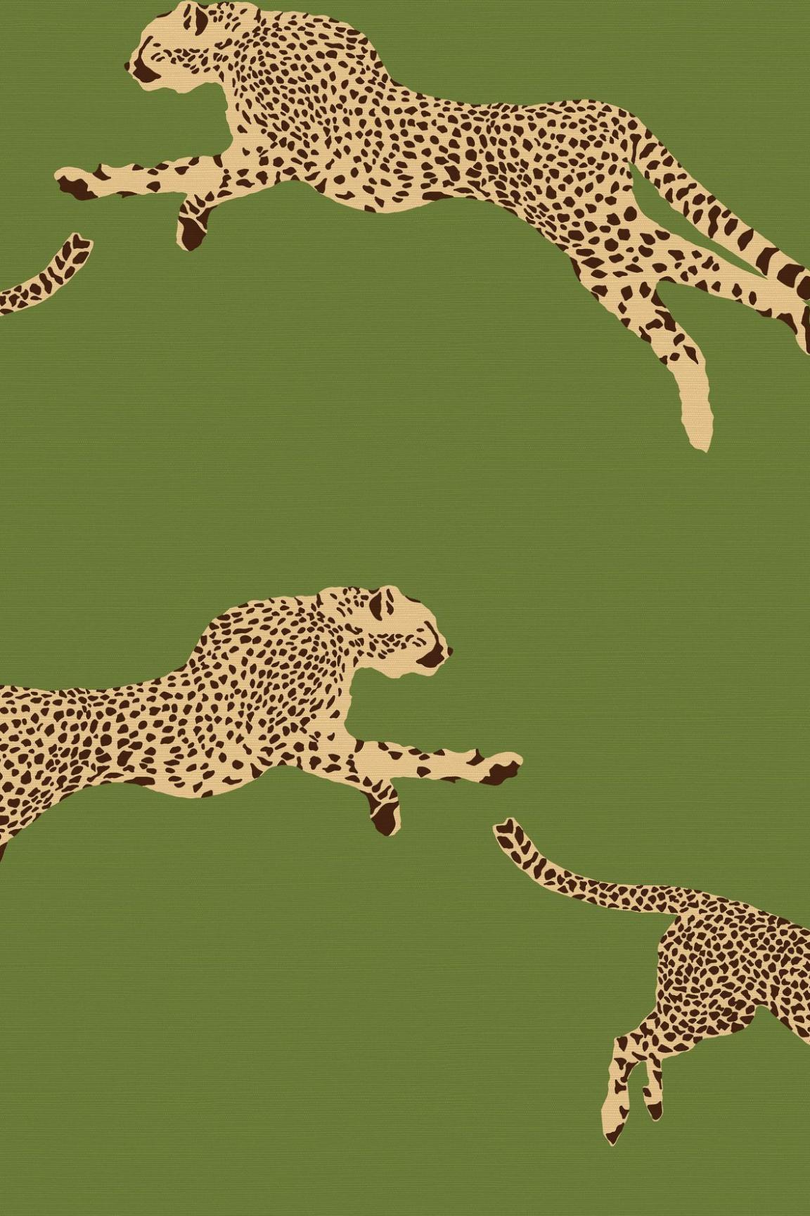 HookedOnWalls Scalamandre Leaping Cheetah JV26024