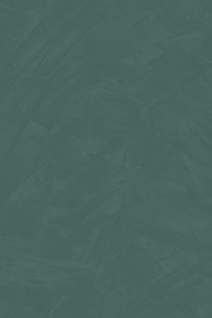 HookedOnWalls Passe Partout 2026 Colour Vibes 29942