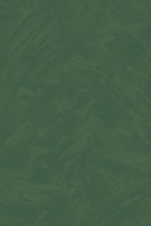 HookedOnWalls Passe Partout 2026 Colour Vibes 29802