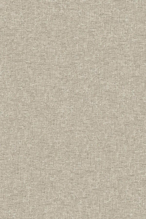 HookedOnWalls Soft Symmetry Albert 68600