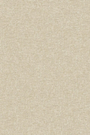 HookedOnWalls Soft Symmetry Albert 68601