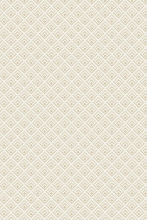 HookedOnWalls Soft Symmetry Geometric 68640