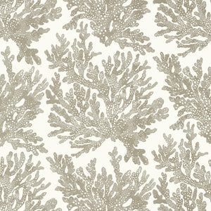 Thibaut Marine Coral Behang T10140 - Beige