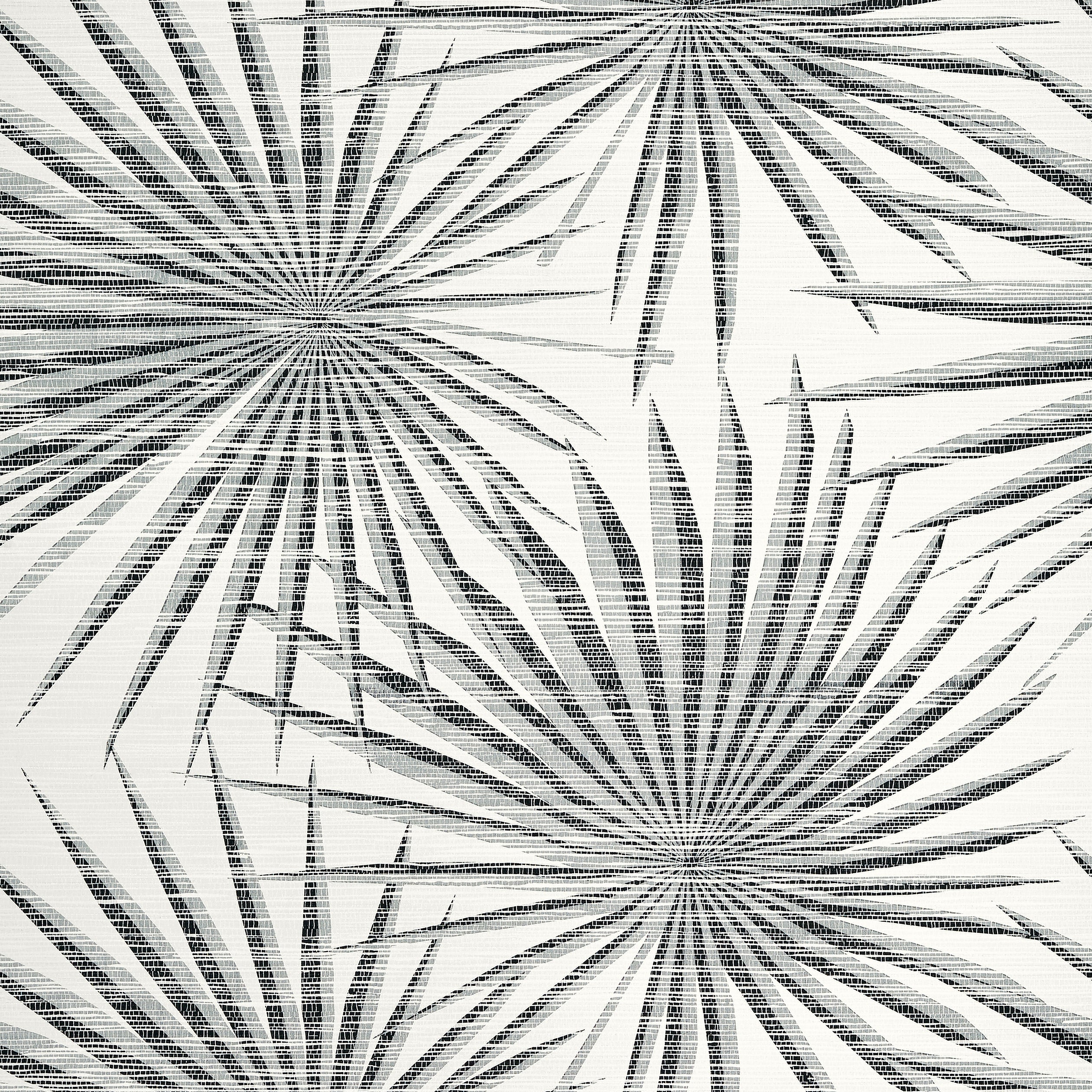 Thibaut Palm Frond Behang T10145 - Black and White