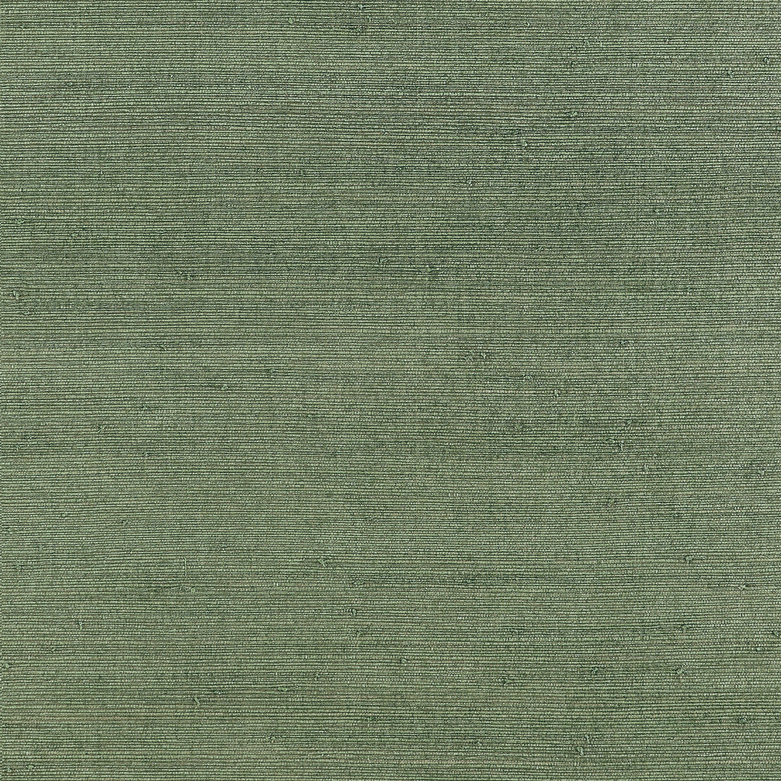Thibaut Montgomery Weave Behang T10330 - Green