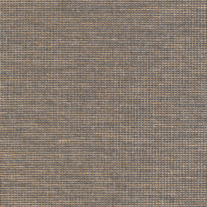 Thibaut Harrison Behang T10378 - Black