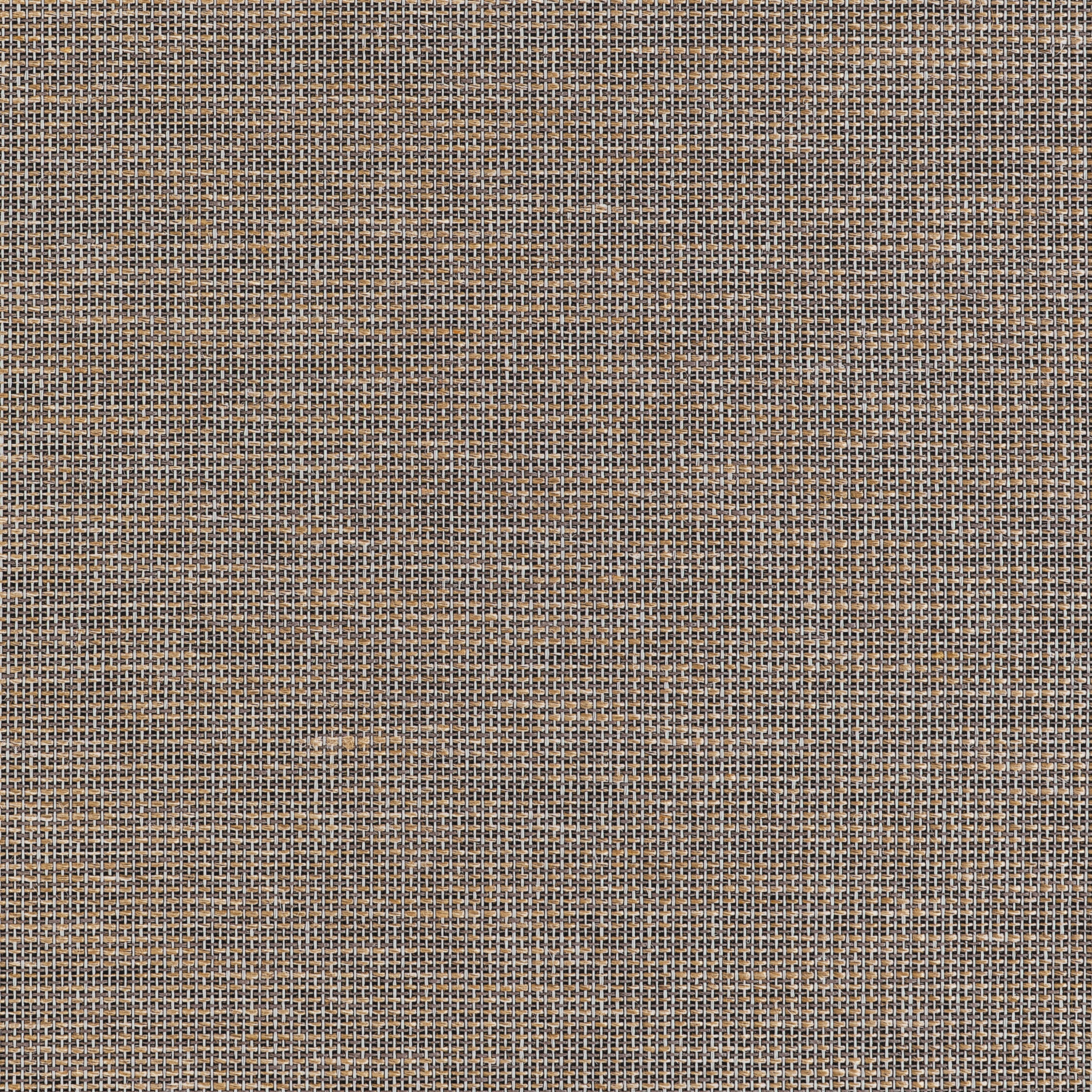 Thibaut Harrison Behang T10378 - Black