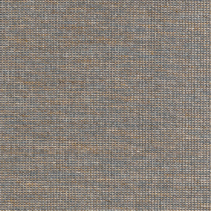 Thibaut Harrison Behang T10379 - Blue and Tan