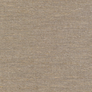Thibaut Harrison Behang T10380 - Brown
