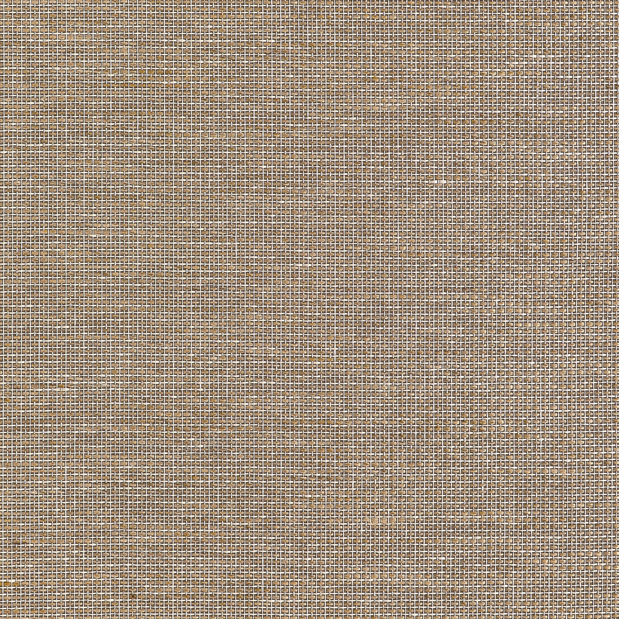 Thibaut Harrison Behang T10380 - Brown