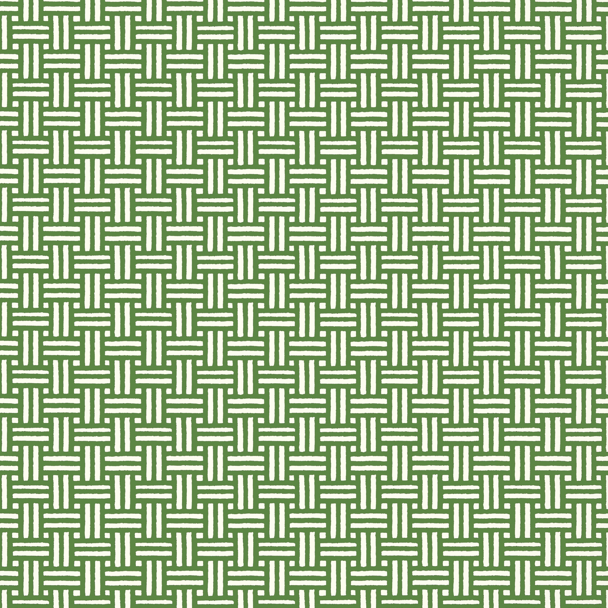 Thibaut Piermont Behang T10620 - Green