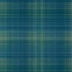 Thibaut Inverness Behang T10975 - Navy and Green
