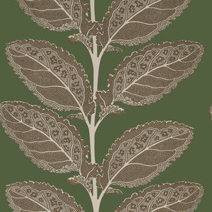 Thibaut Lacinato Behang T12040 - Wild Sage