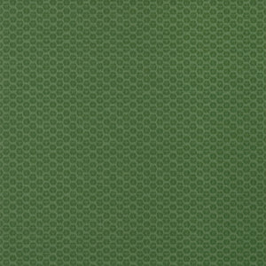 Thibaut Akari Behang T13368 - Emerald