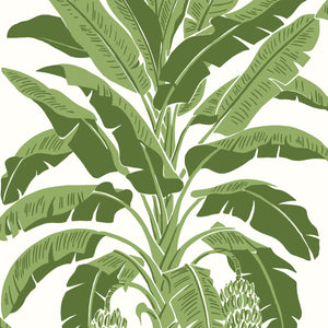 Thibaut Banana Tree Behang T13914 - Green