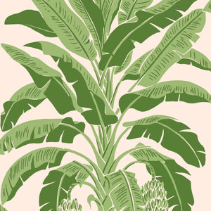 Thibaut Banana Tree Behang T13917 - Pink and Green