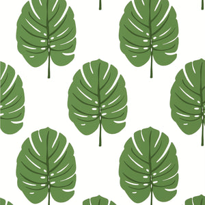 Thibaut Monstera Behang T13952 - Green