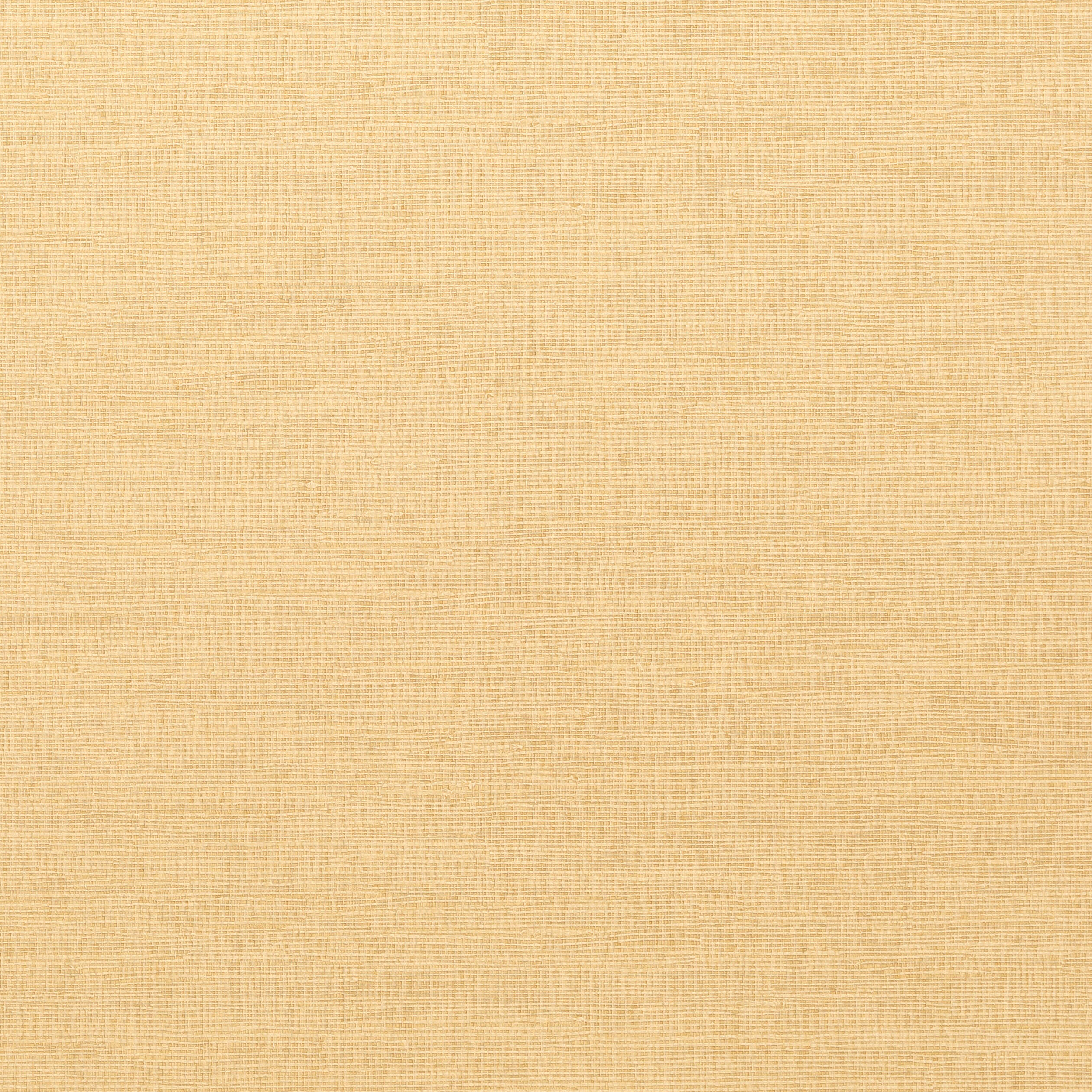 Thibaut Coastal Sisal Behang T14106 - Straw