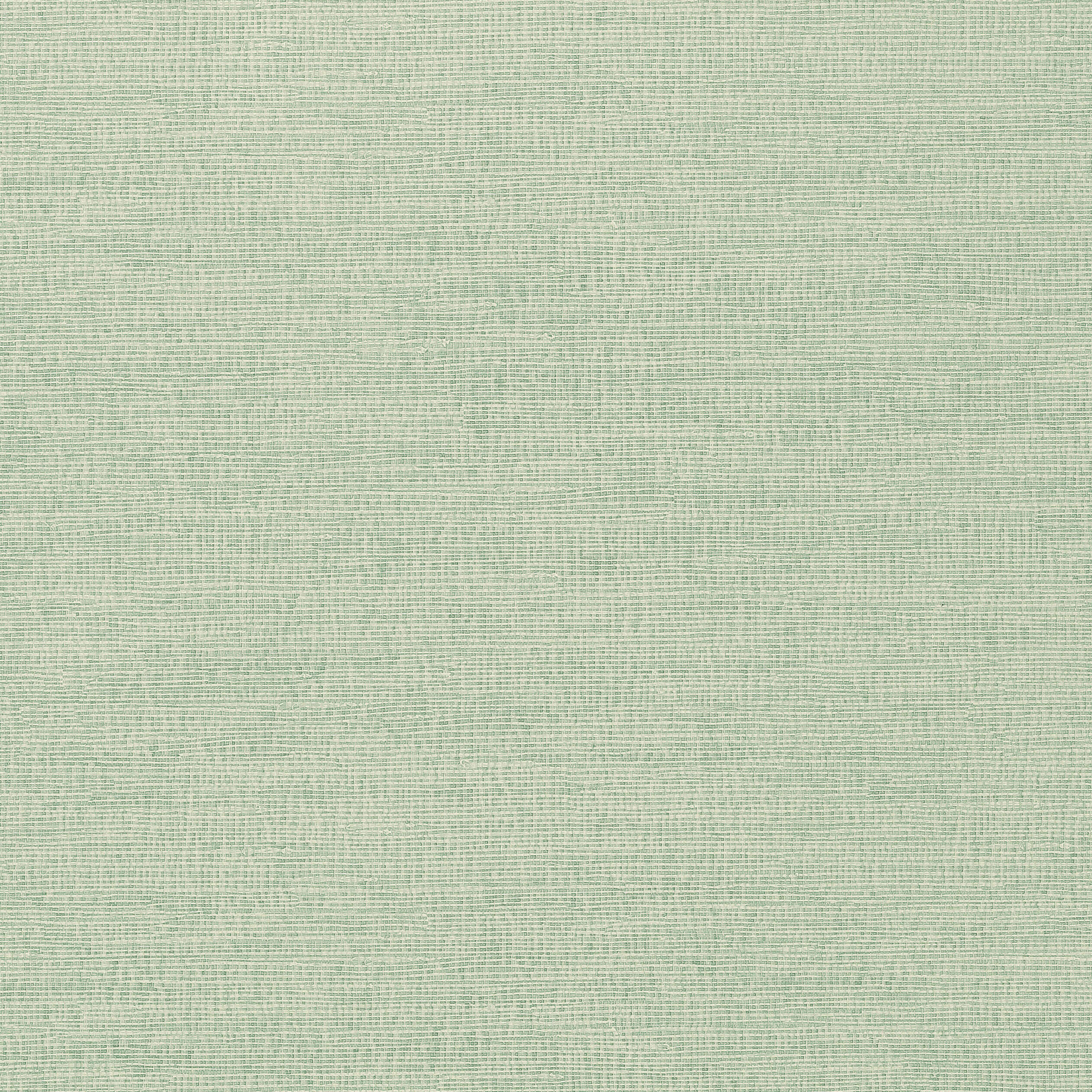 Thibaut Coastal Sisal Behang T14112 - Aqua