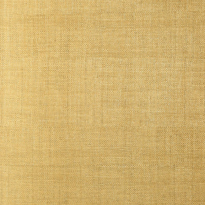 Thibaut Bankun Raffia Behang T14133 - Metallic Gold