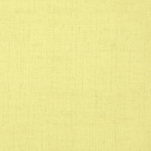 Thibaut Bankun Raffia Behang T14142 - Apple Green