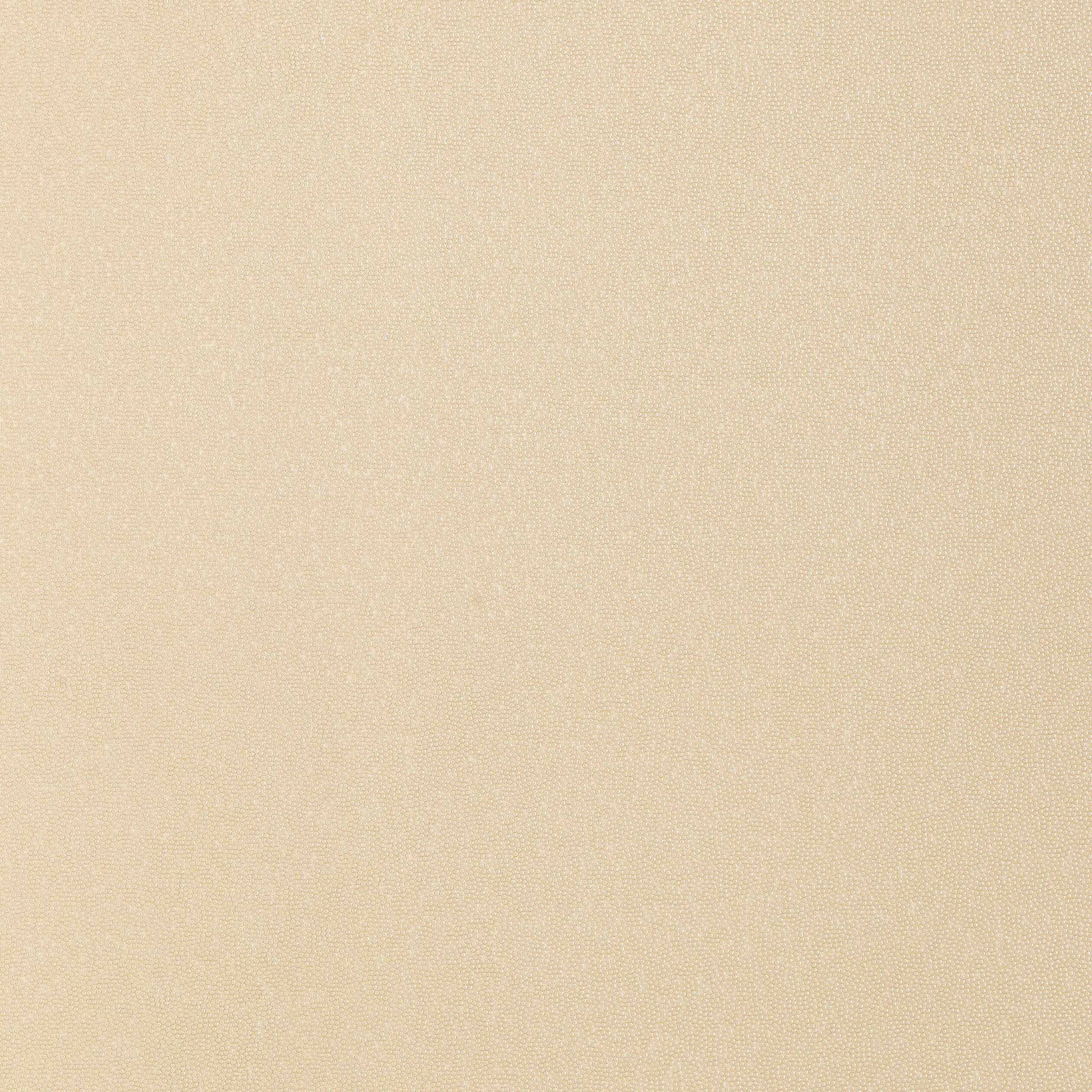 Thibaut Minerals Behang T14153 - Beige
