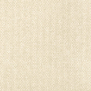 Thibaut Monaco Behang T14165 - White
