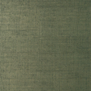 Thibaut Bankun Raffia Behang T14513 - Forest