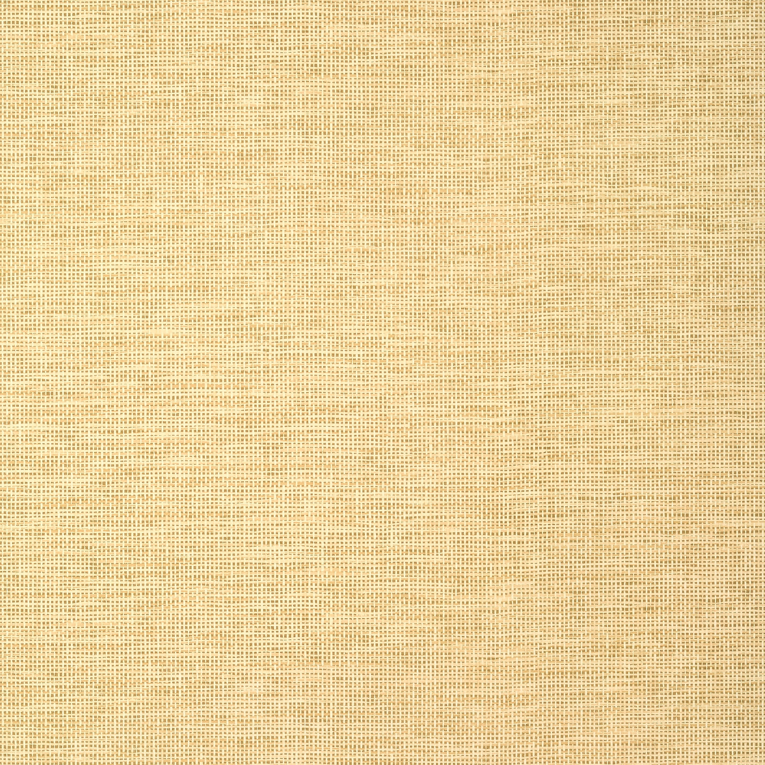 Thibaut Spiro Behang T14564 - Straw