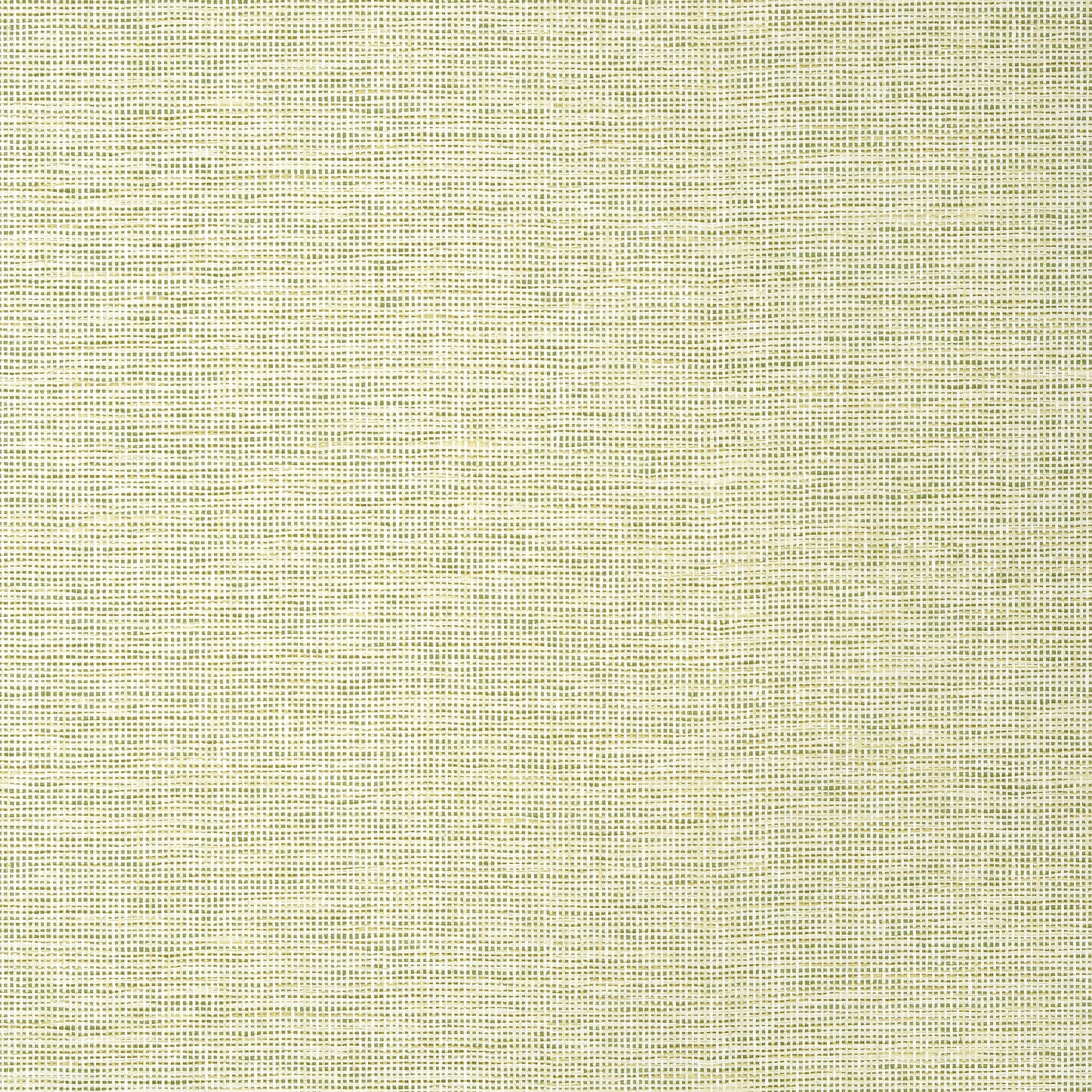 Thibaut Spiro Behang T14585 - Spring