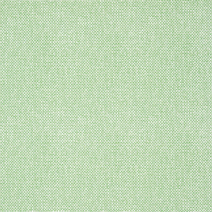 Thibaut Palawan Behang T16261 - Green